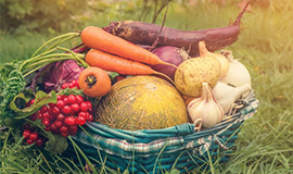 Um sistema alimentar sustentável deve dar prioridade à segurança