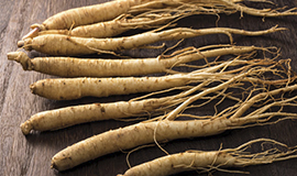 Explorando as possibilidades do ginseng