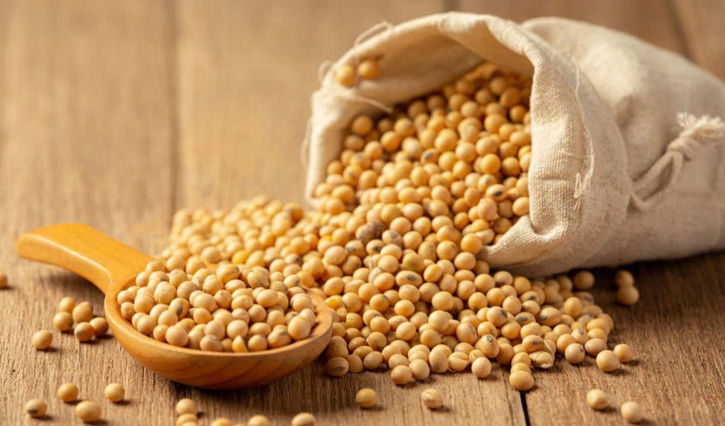 Oleaginosas como ingredientes de inovação