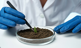Cellva Ingredients desenvolve fibras cítricas produzidas por biotecnologia