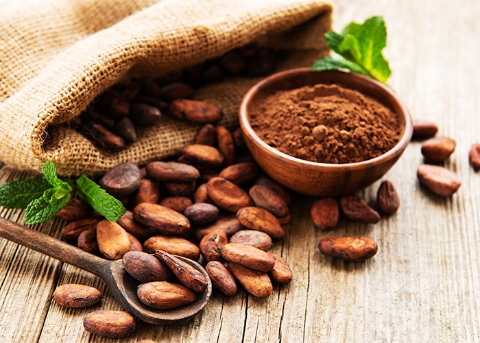 Barry Callebaut lança roteiro para se tornar Net Zero até 2050