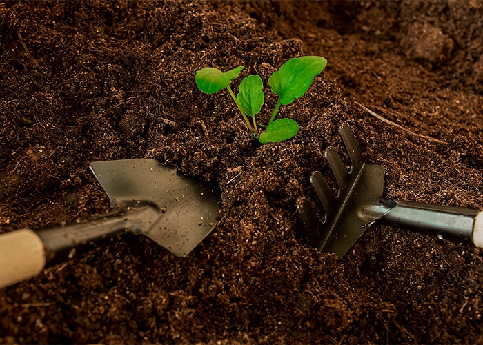 Furacão Milton pode afetar mercado de fertilizantes nos EUA