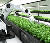 Danone e Gooxxy Usam IA em projeto sustentável