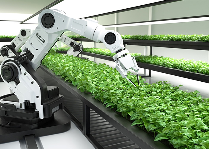 Danone e Gooxxy Usam IA em projeto sustentável