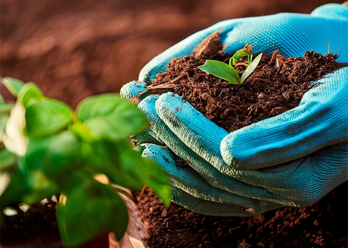 ADM conquista primeiro lugar no prêmio FICCI de agricultura sustentável