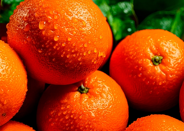 BASF Aroma Ingredients apresenta dois novos ingredientes biotecnológicos da linha Isobionics®