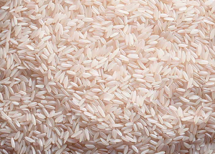 Fibras de subprodutos agroindustriais: sustentabilidade e viabilidade econômica