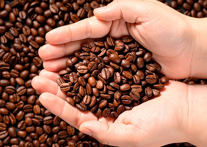 China abre mercado para CAFÉ BRASILEIRO e alivia impacto de tarifa dos EUA