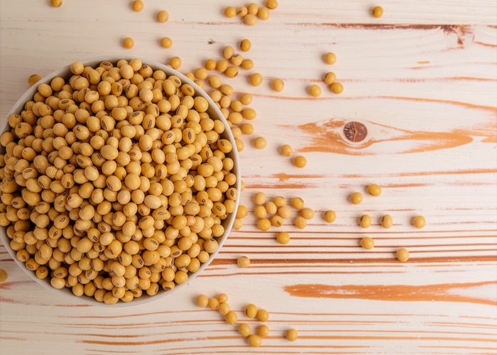 MBRF e HPDC criam a Sadia Halal em joint venture focada em PROTEÍNAS certificadas