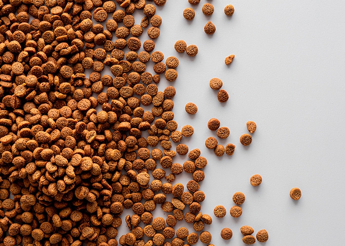 Mercado de PET FOOD deve crescer 7,70% CAGR na América Latina nos próximos anos
