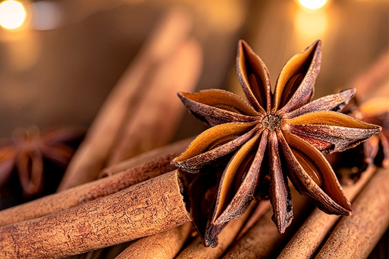 dsm-firmenich elege “frosted star anise” como SABOR DO ANO para 2026